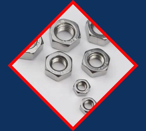 SS 304 Nut