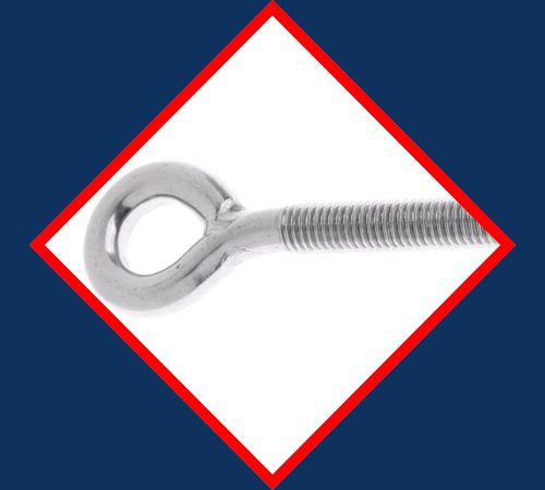 Fine Threaded SS Eyebolts